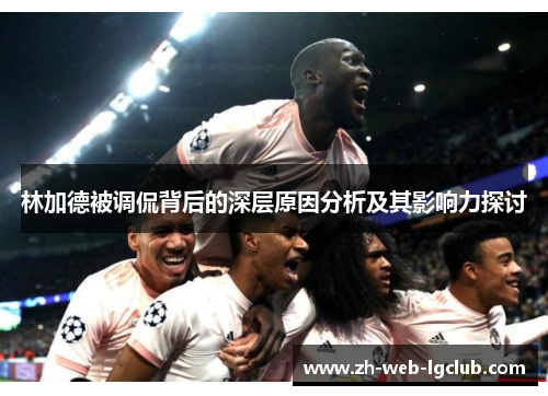 林加德被调侃背后的深层原因分析及其影响力探讨