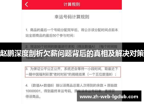 赵鹏深度剖析欠薪问题背后的真相及解决对策